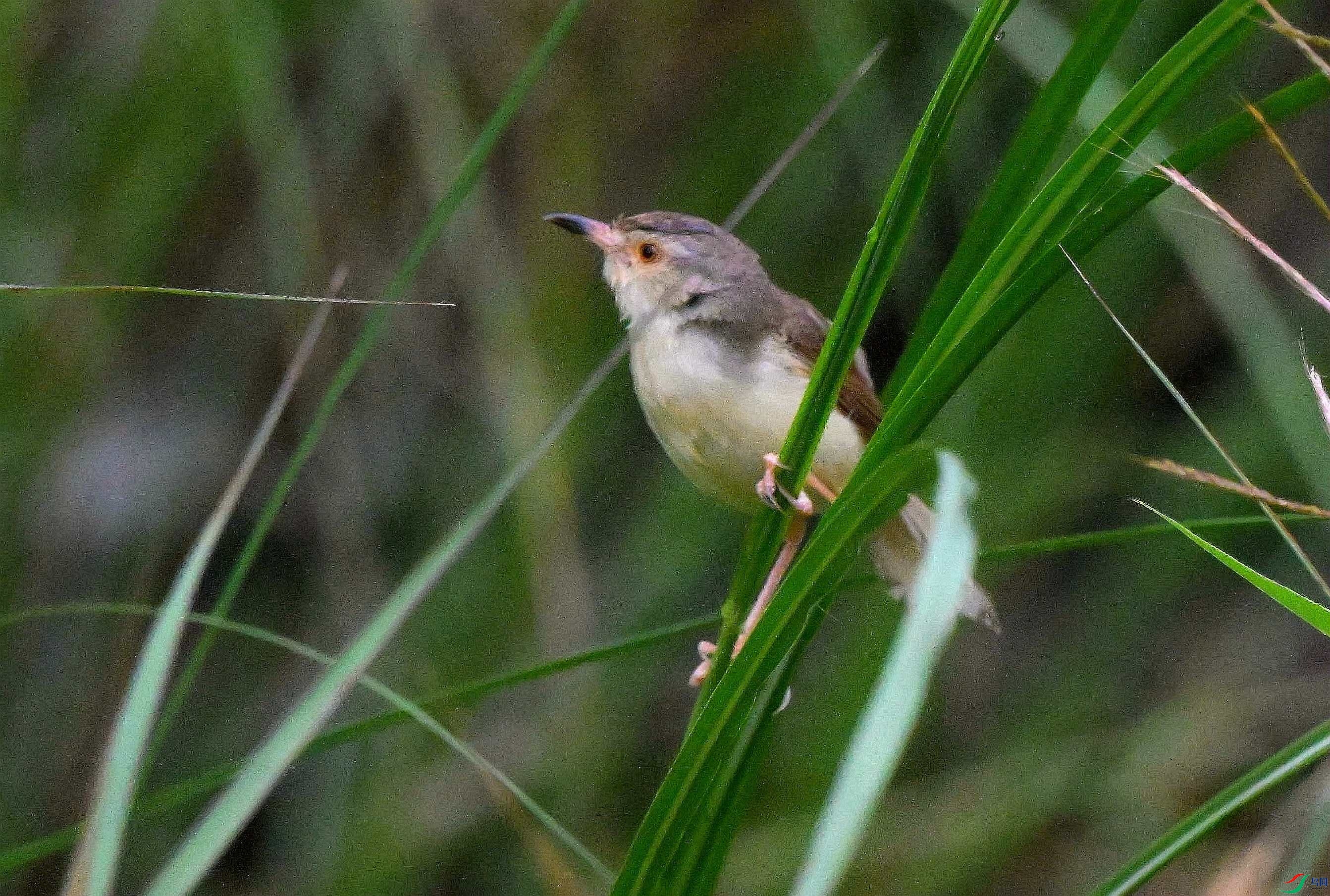 DSC_4713.jpg