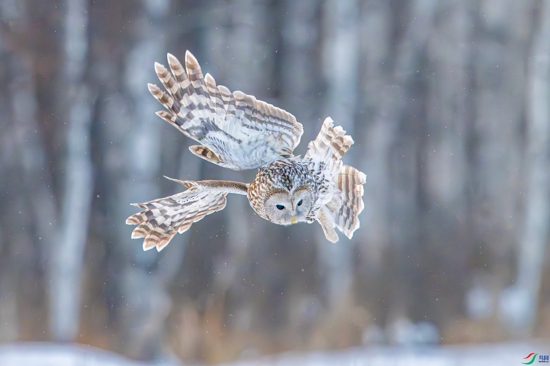 ׼����ʳ  ���� 0459���� ��һ.jpg