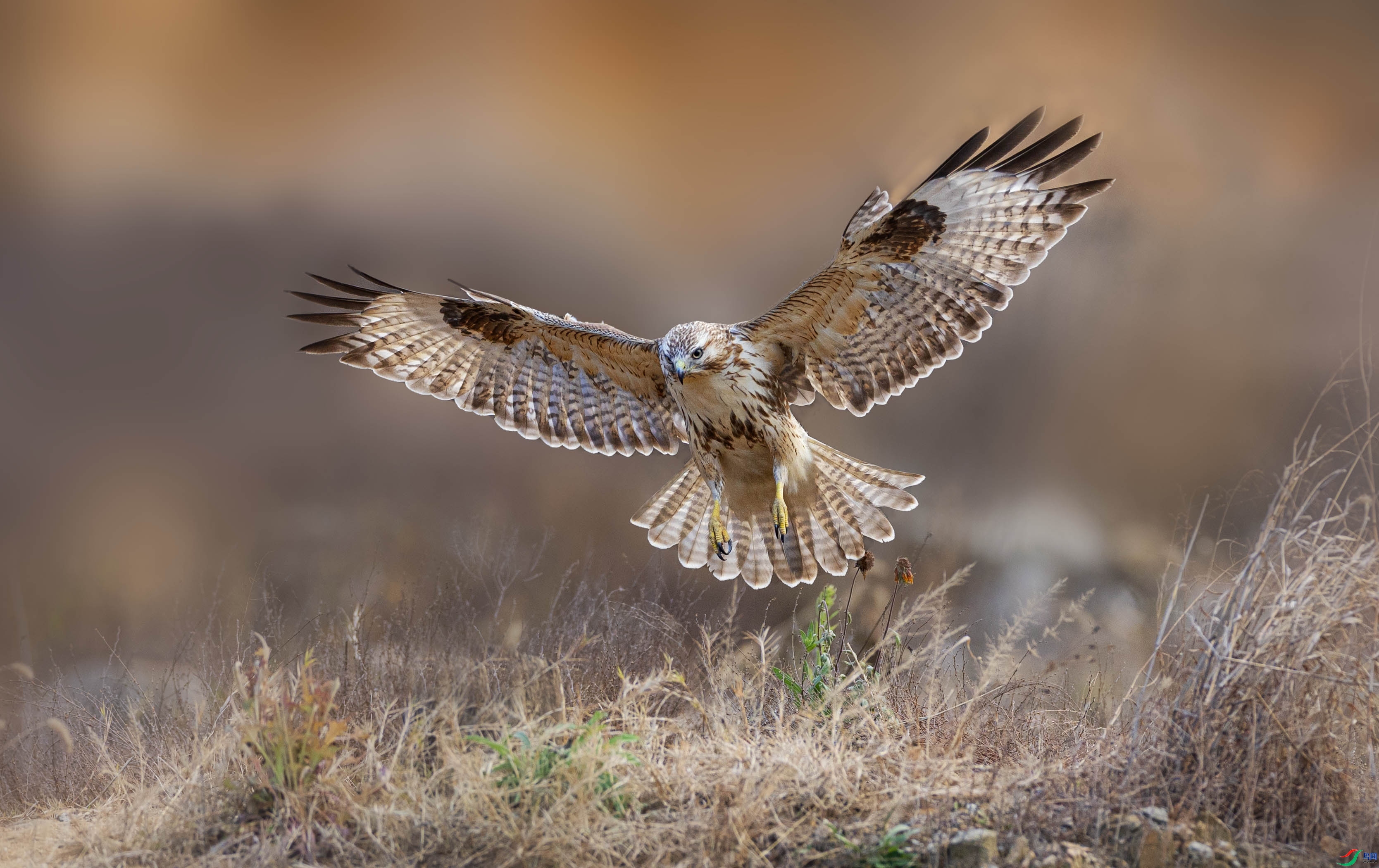 ���� ���� �ܸ� ��һ.jpg