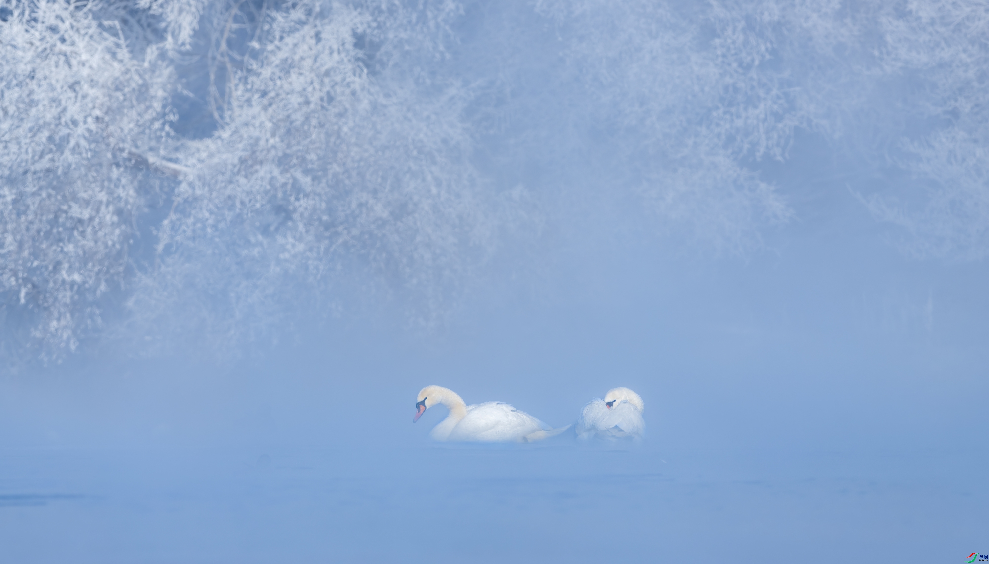 ������ʹ  ���� ��Ͽ֮�� ��һ.jpg