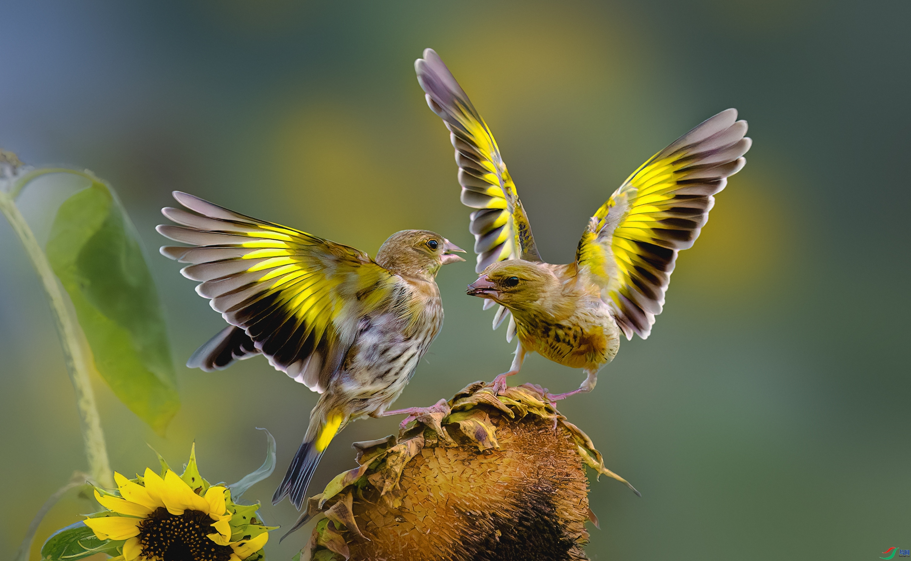 ���ȸ ���� 춼ͷ� �ܶ�.jpg