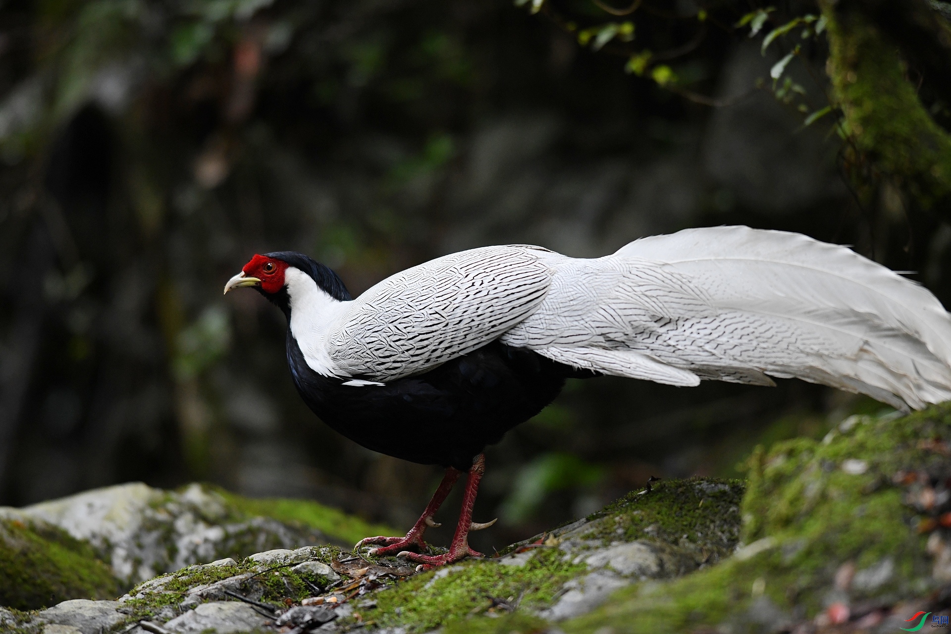 DSC_2419.jpg