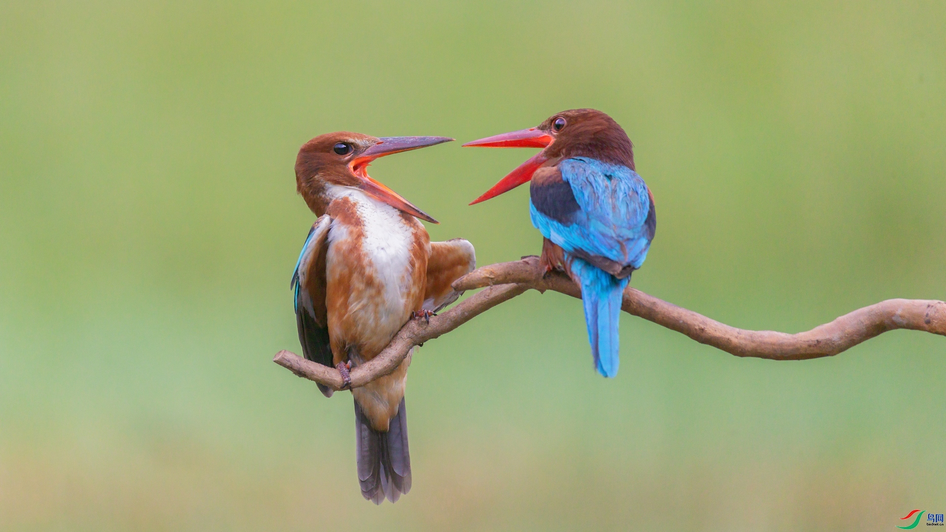 ͬ���質  ���� Դ����Ȼ ����.jpg