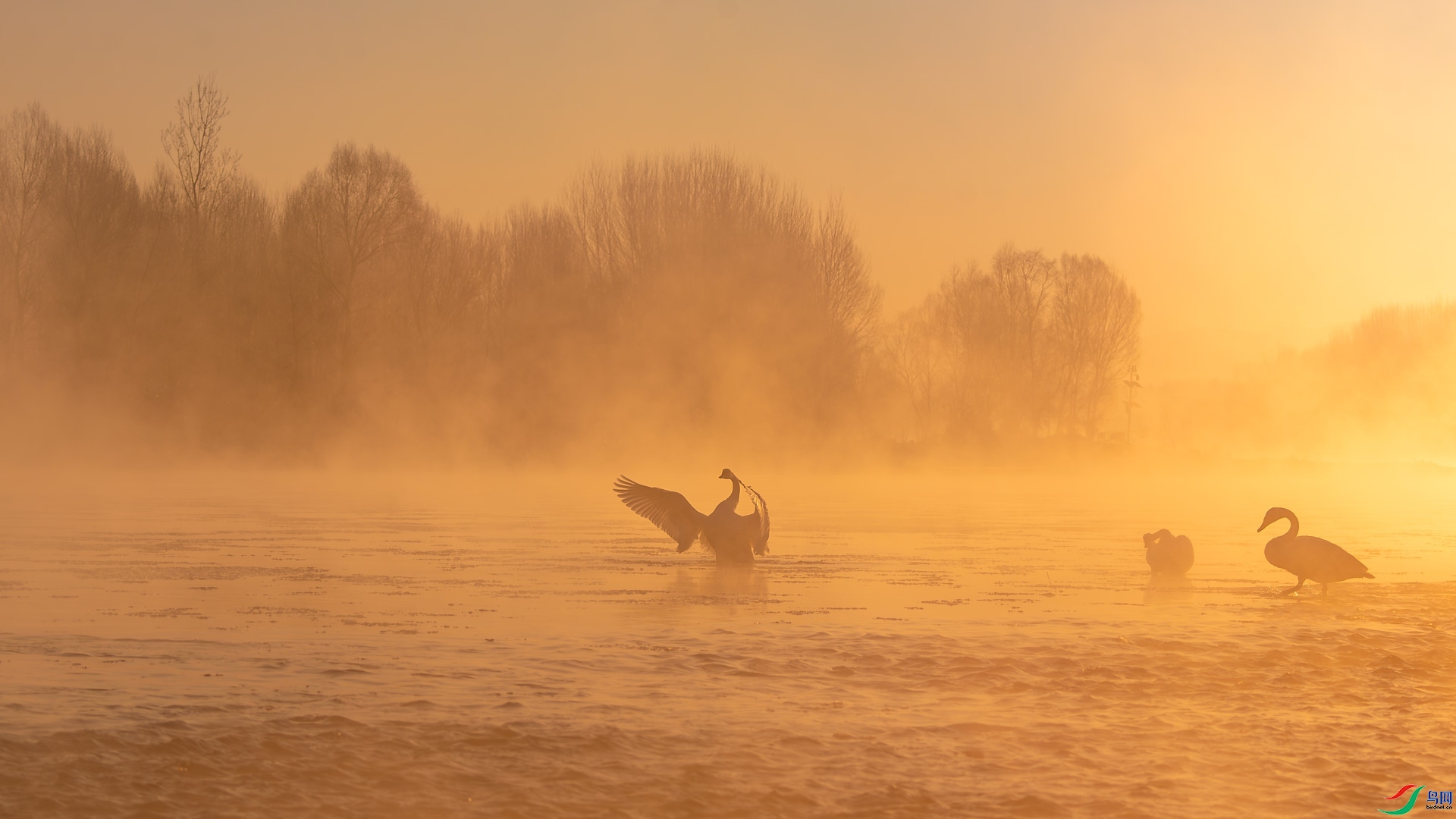 ���� ���� 0459���� ����.jpg