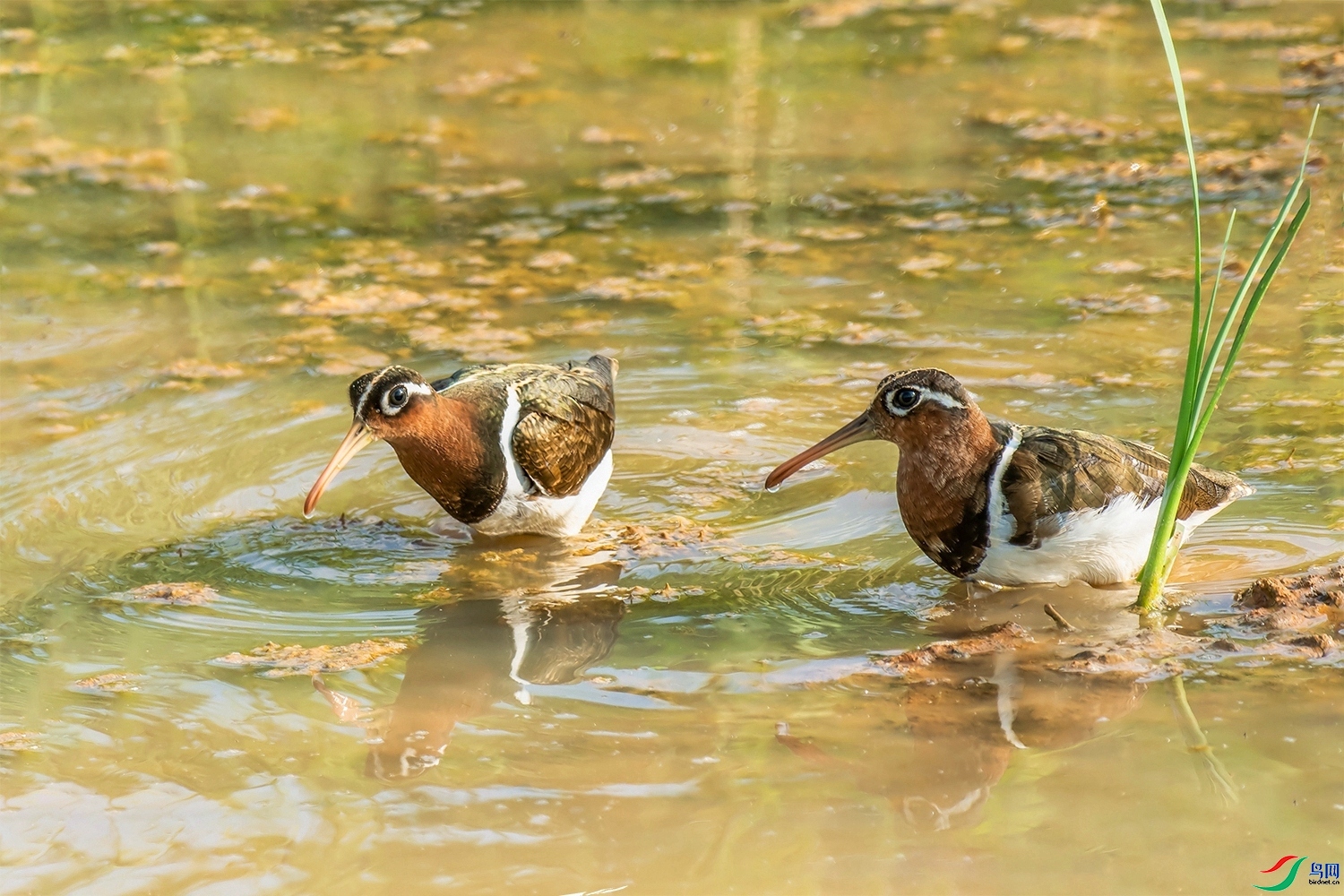 ��ʳ ���� ͧ�� ����.jpg