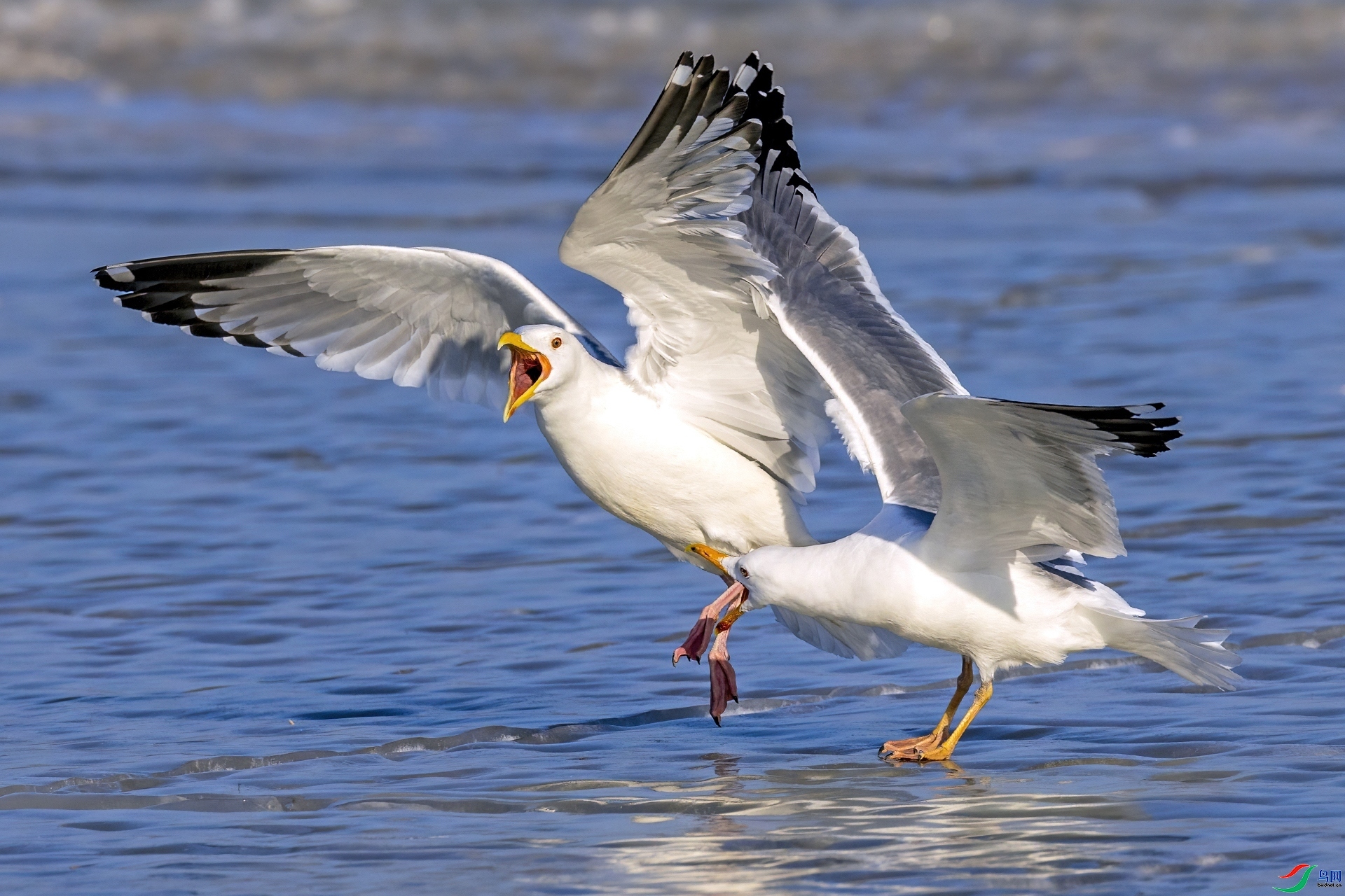 ͻȻϮ�� ���� ������ ����.jpg