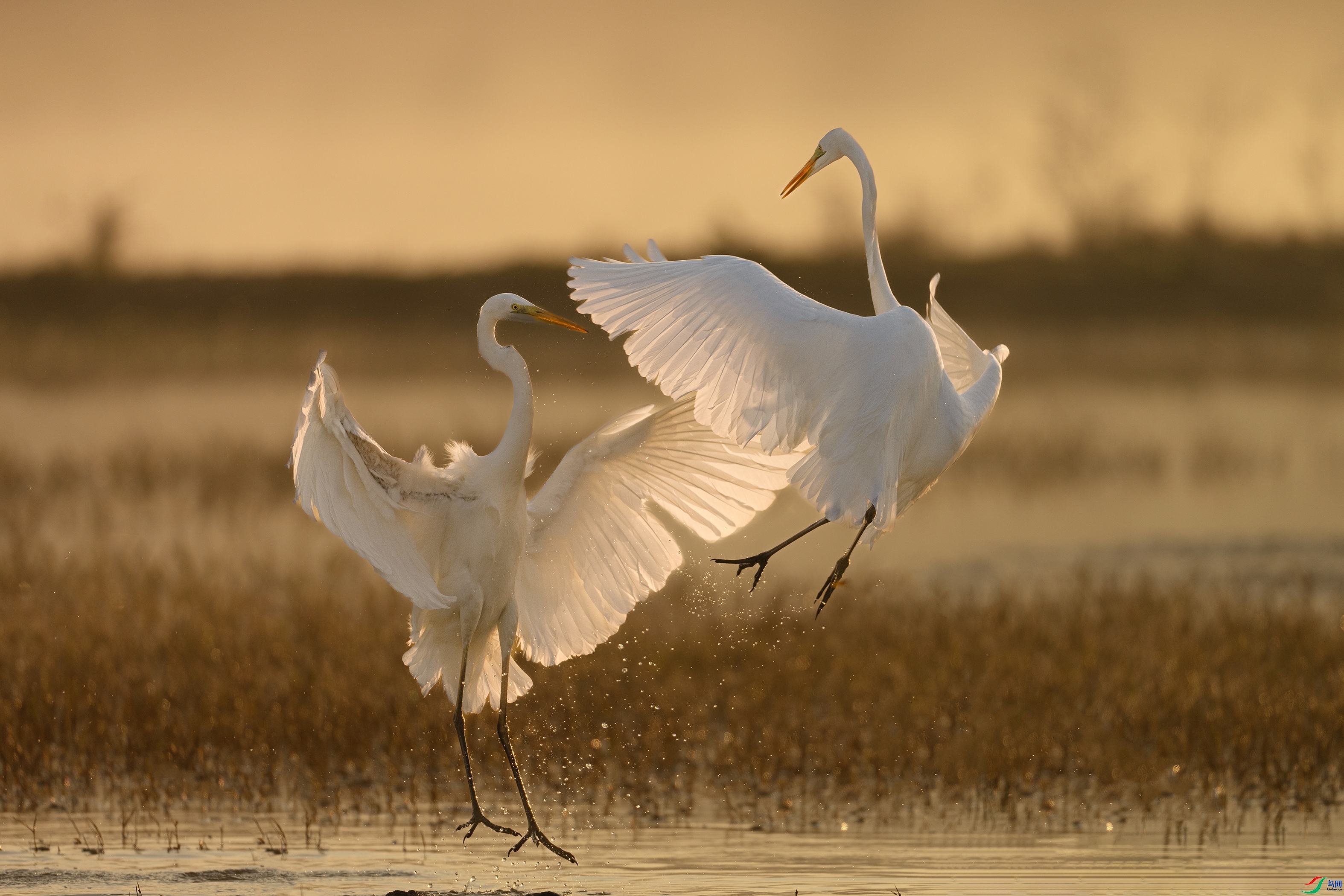 �� ���� ����· ����.jpg