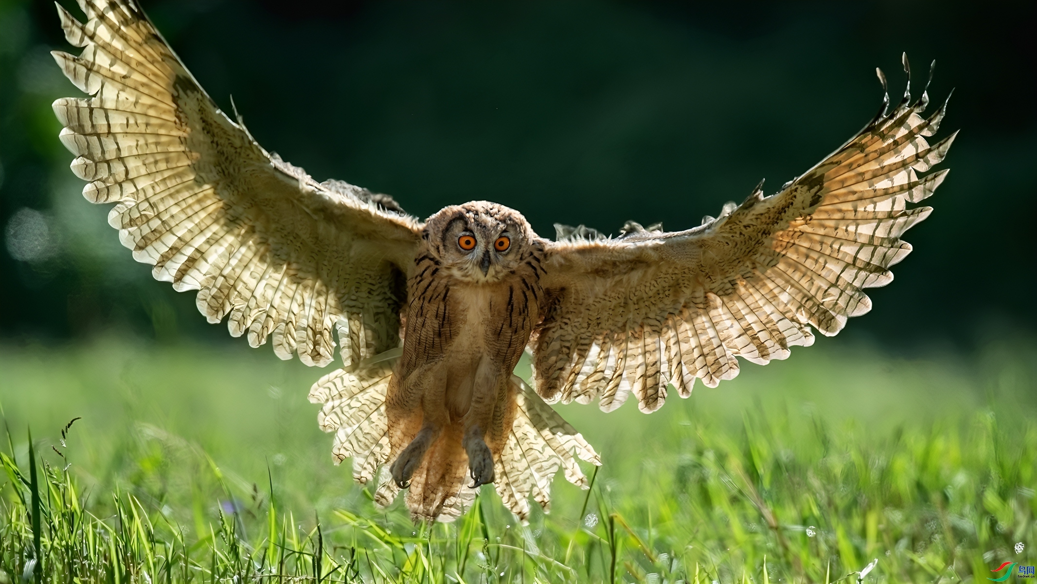 һ�Ƴ���ӳ����  ���� СС�ո� ����.jpg