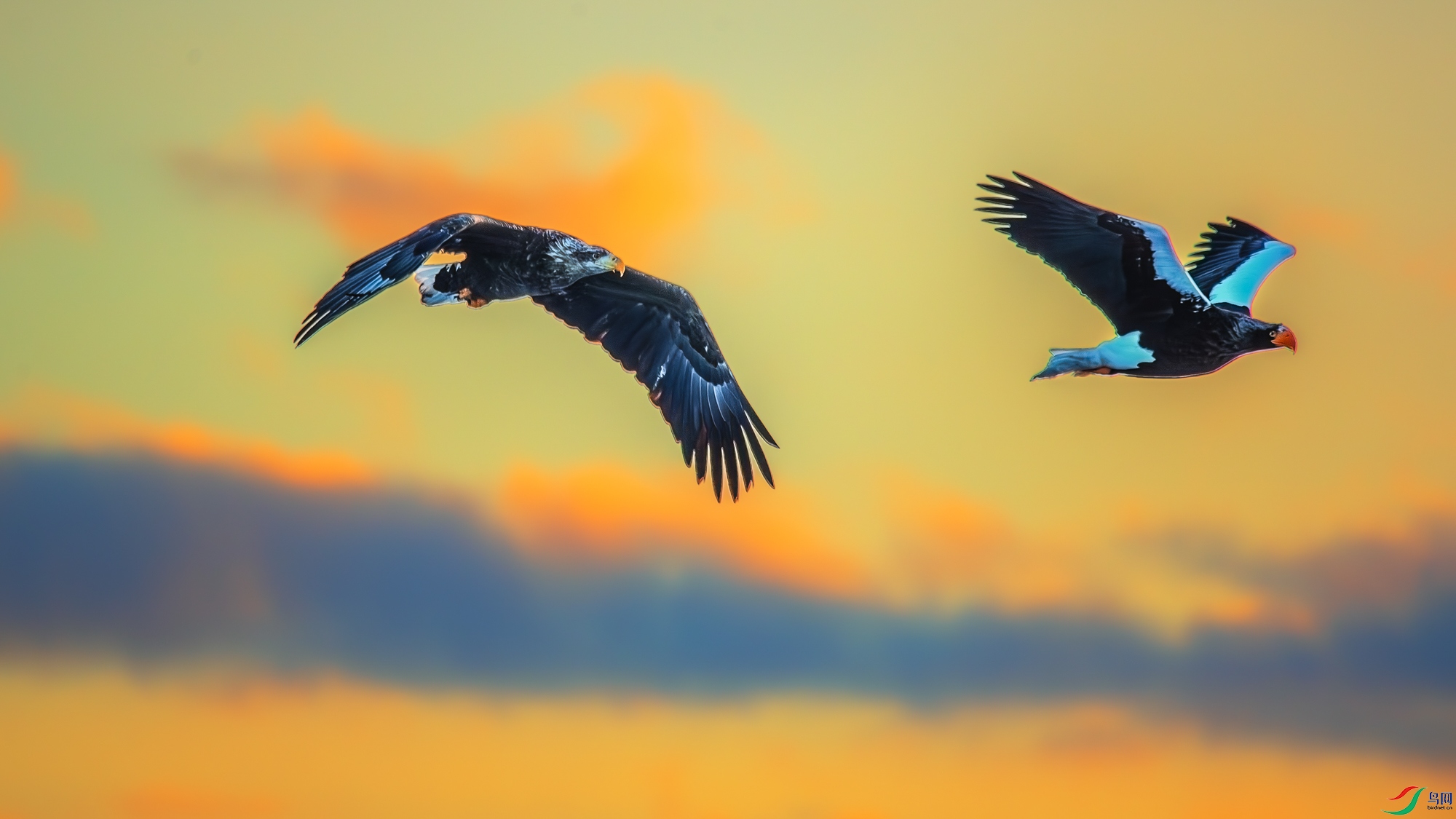 DSC_6226-����ǿ-NR ����_1.jpg