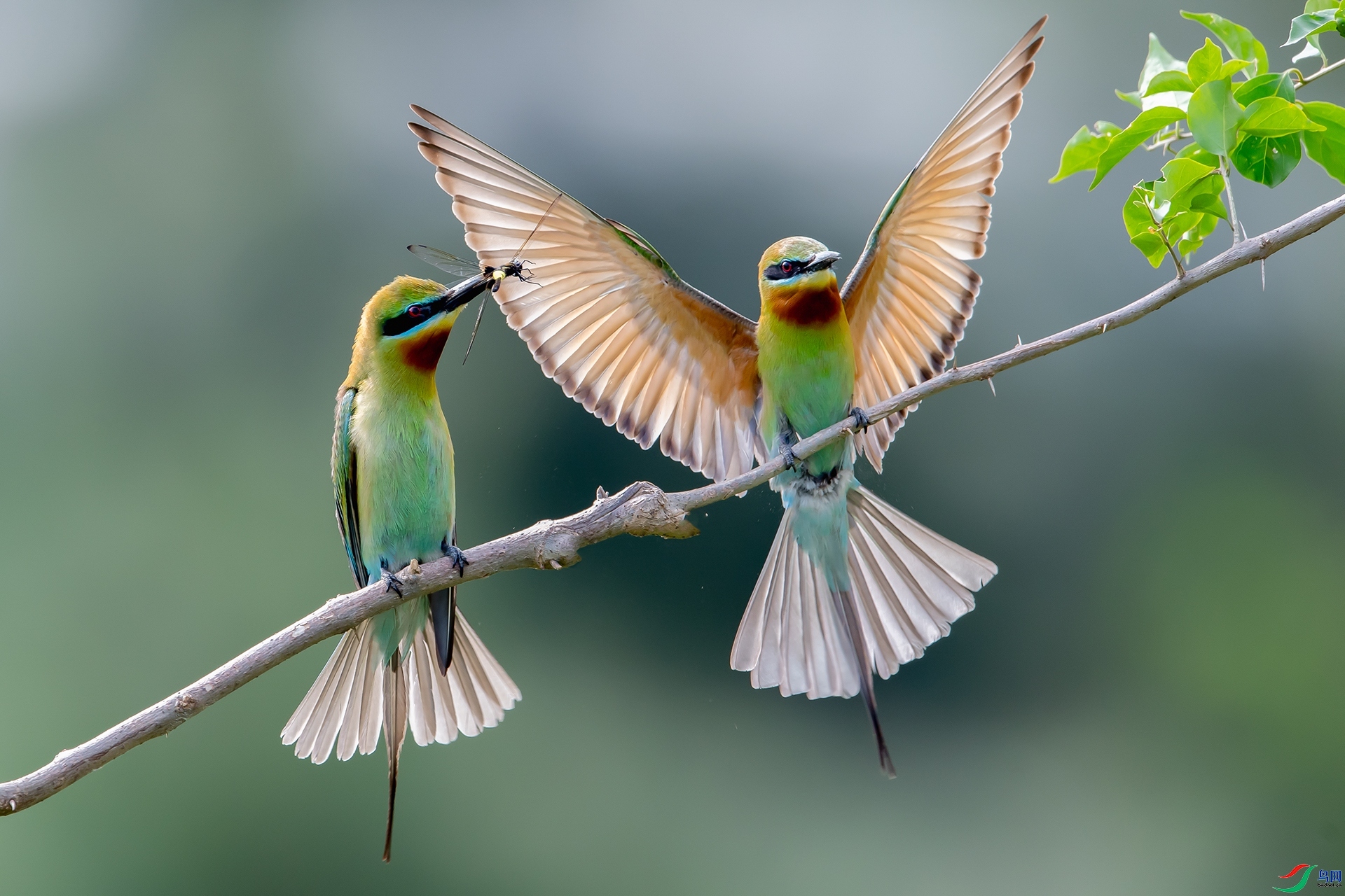 �õ��� ���� ����ǿ ����.jpg