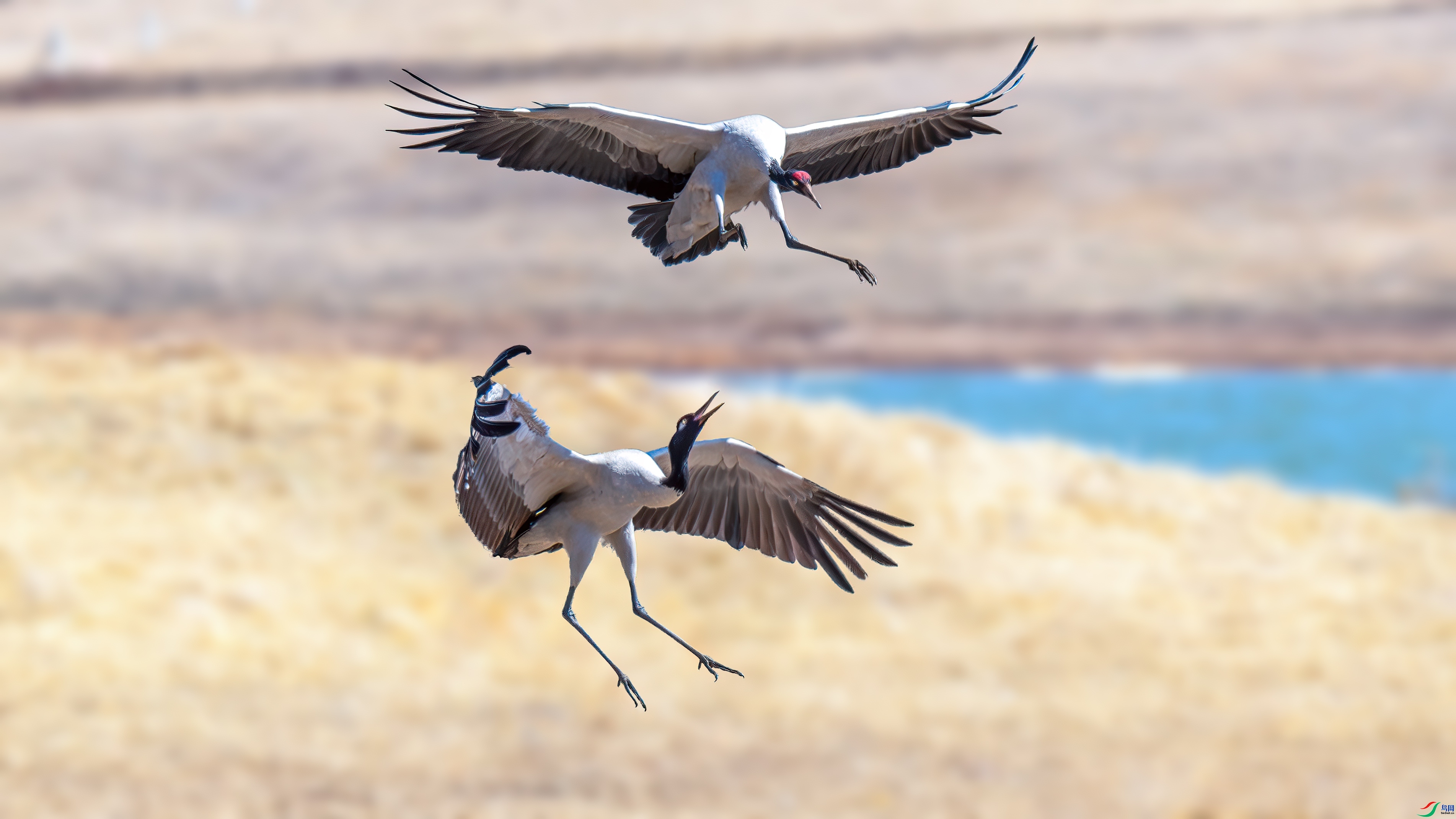 �� ���� ��ѧ�� ����.jpg