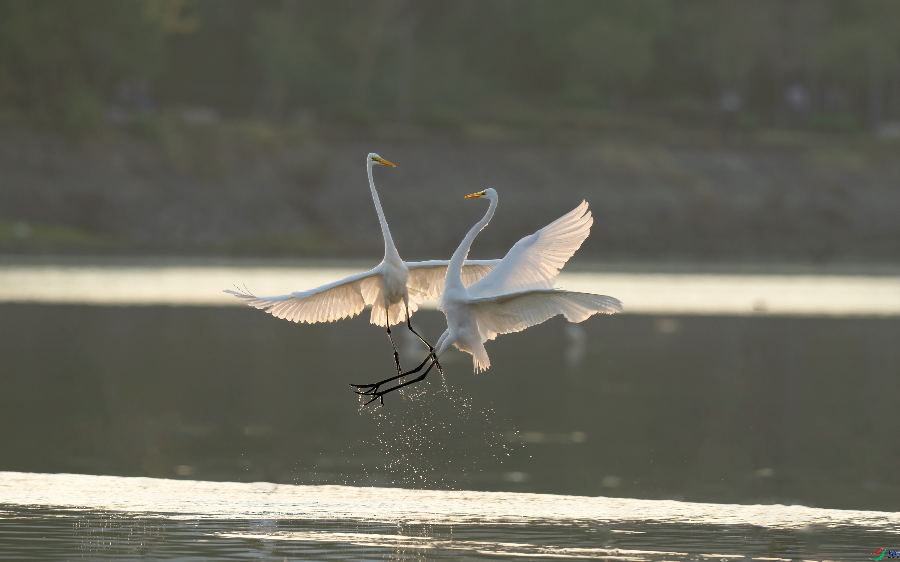 ����  ���� ���� ����.jpg