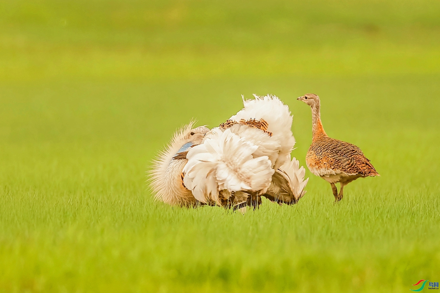 ��ԭ���� ���� ͧ�� ����.jpg