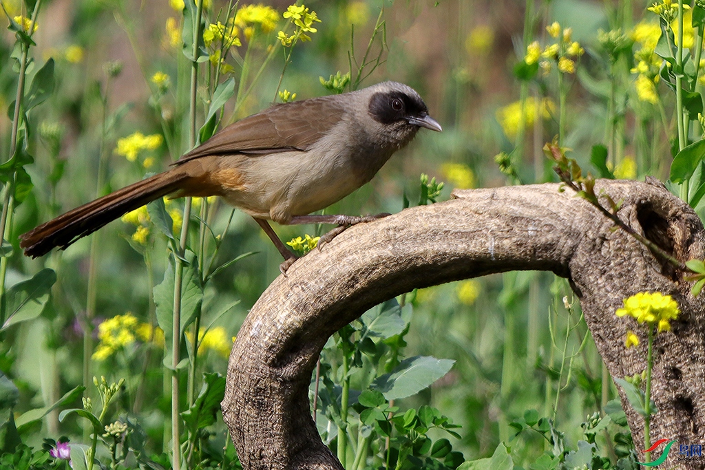 �������� (29) ����.jpg