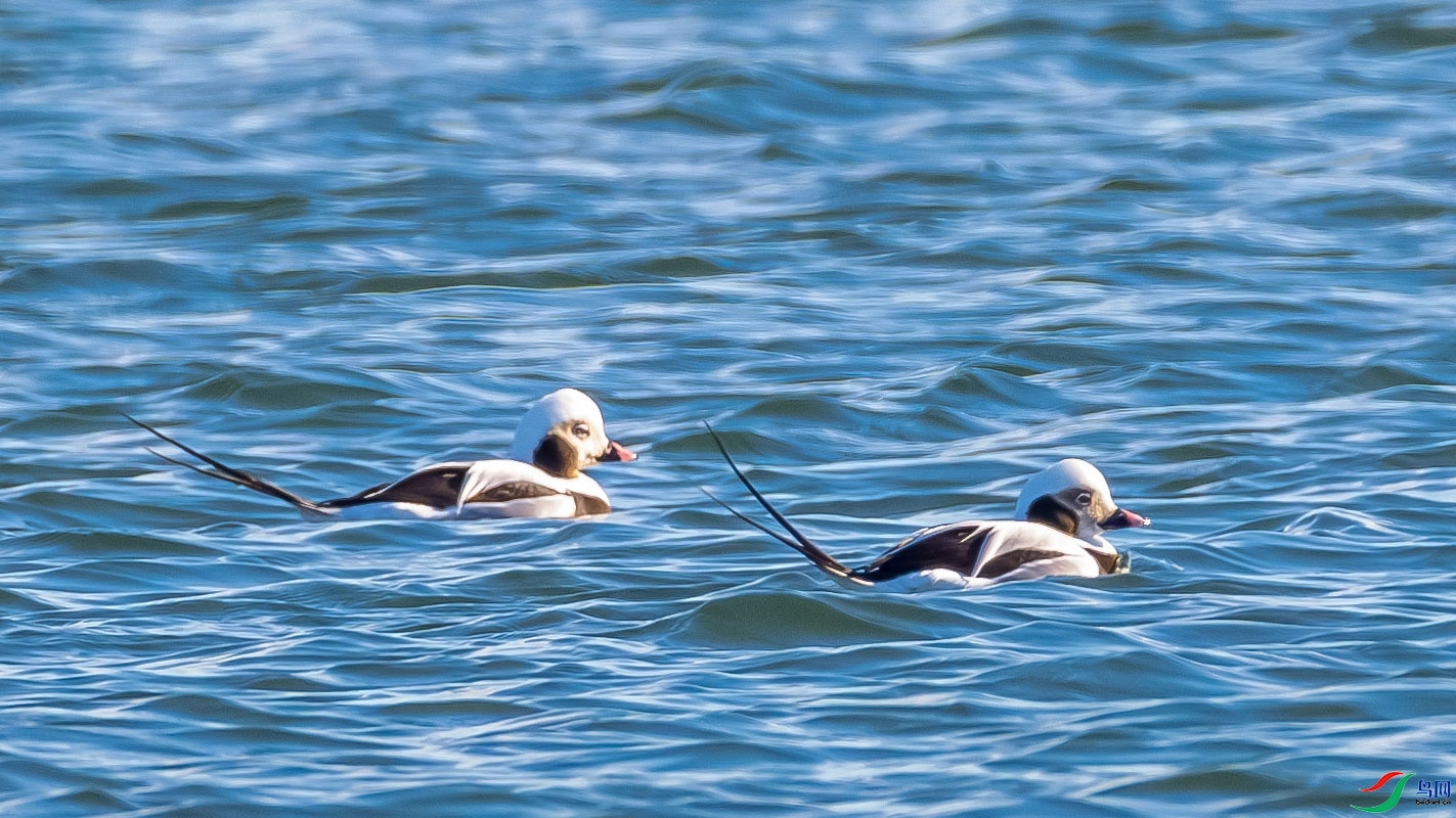 ��βѼ ���� ɳ���Խ� ����.jpg