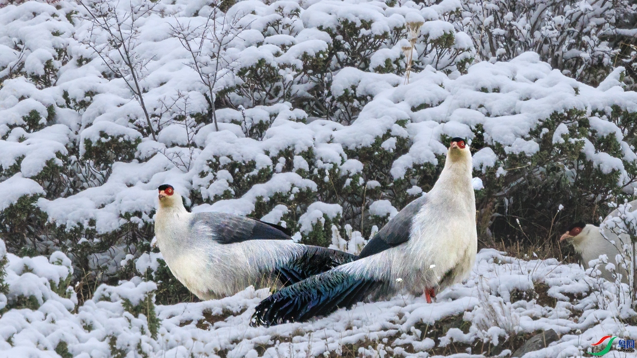 ������ ���� ��ͥ�Ų�YES  ����.jpg