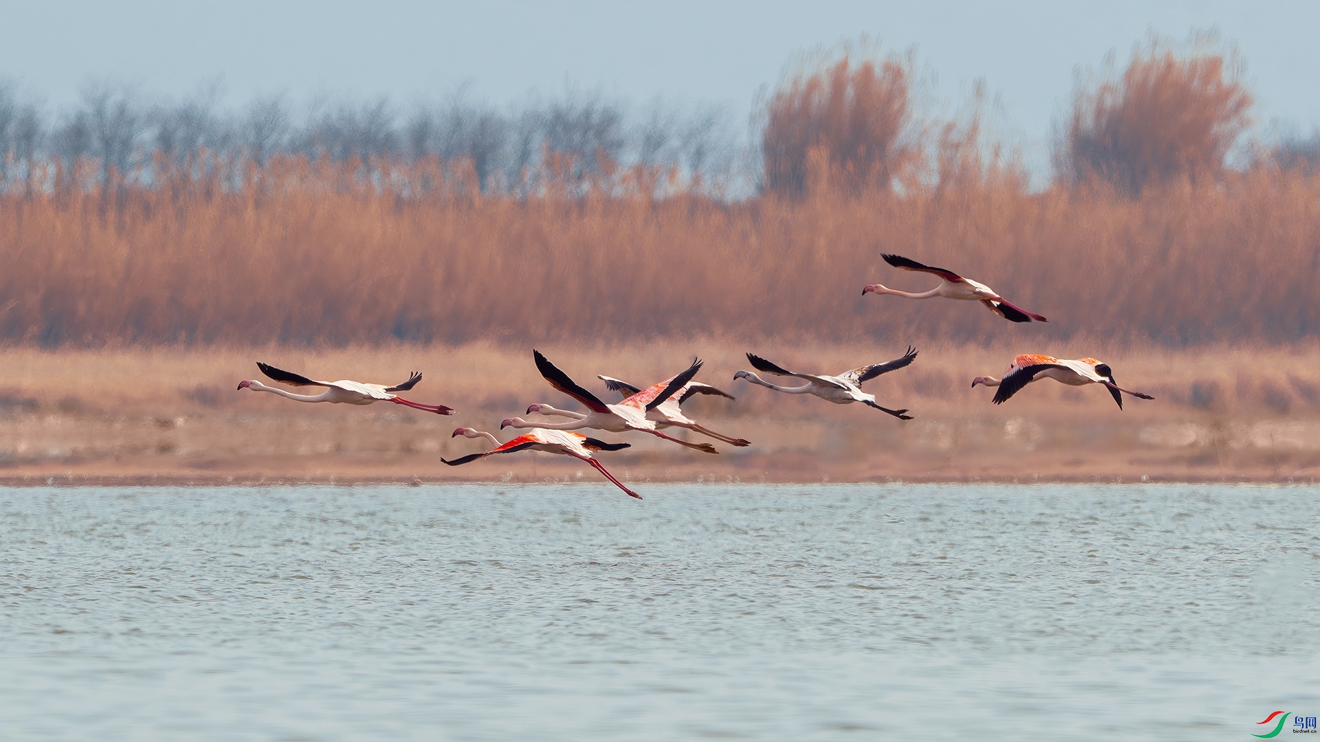 _DSC7887-����ǿ-NR ����С.jpg