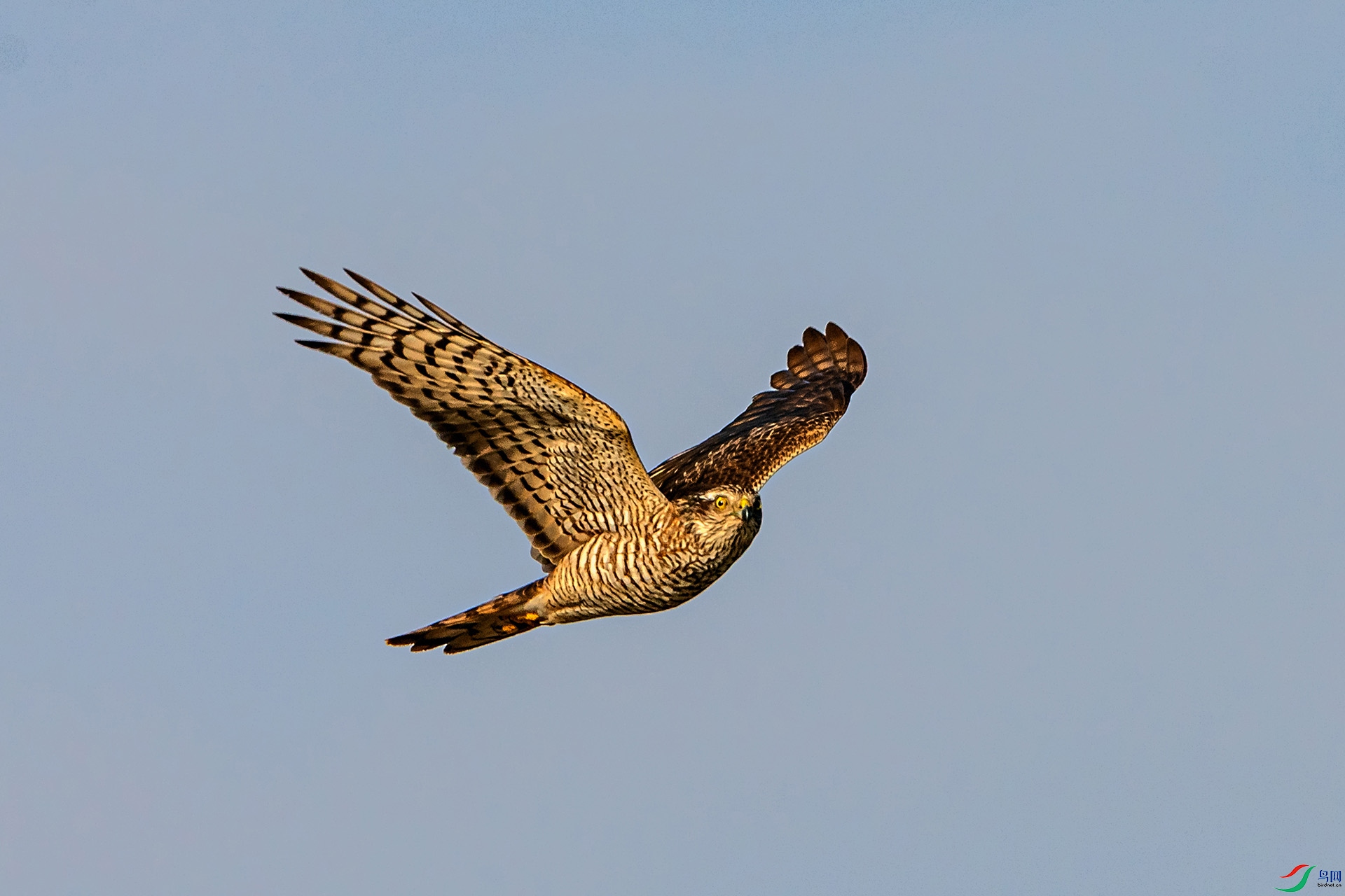 _AUU3296ȸӥ(24.12.26).jpg