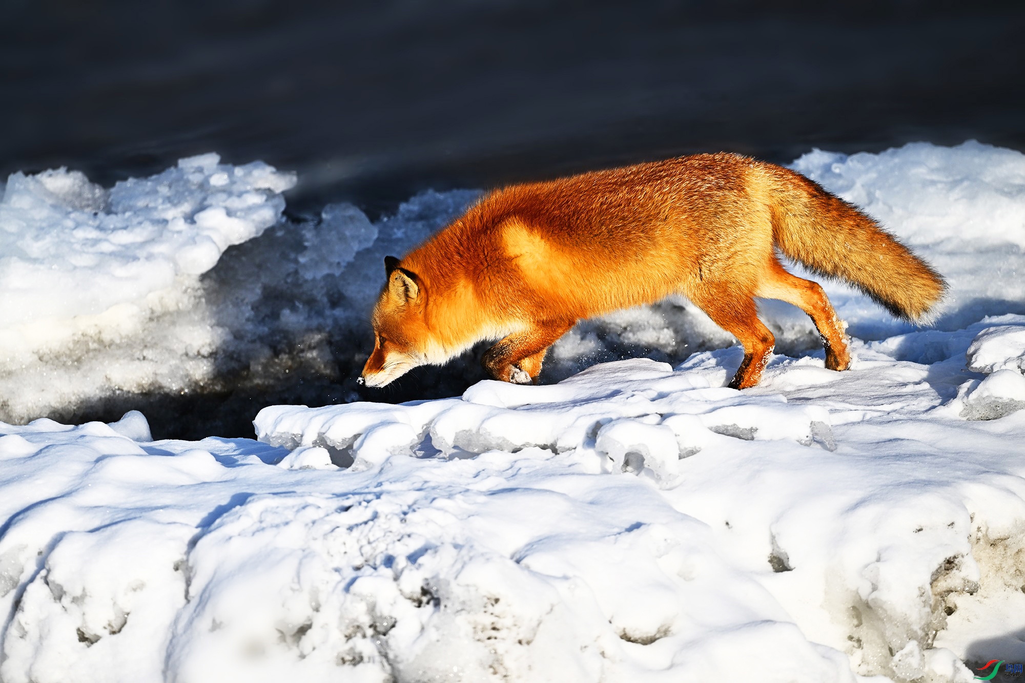 DSC_0125_.jpg
