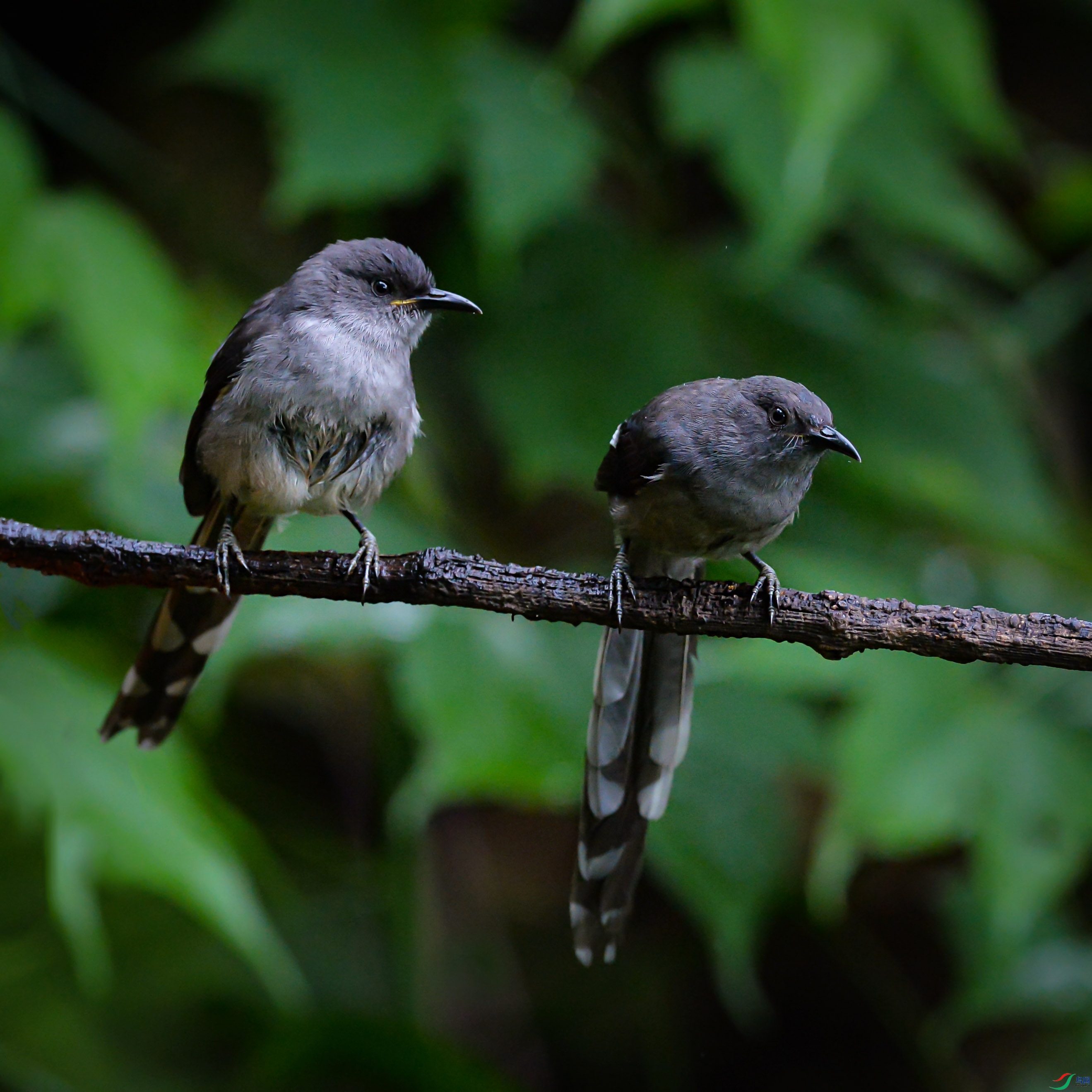DSC_2964.jpg