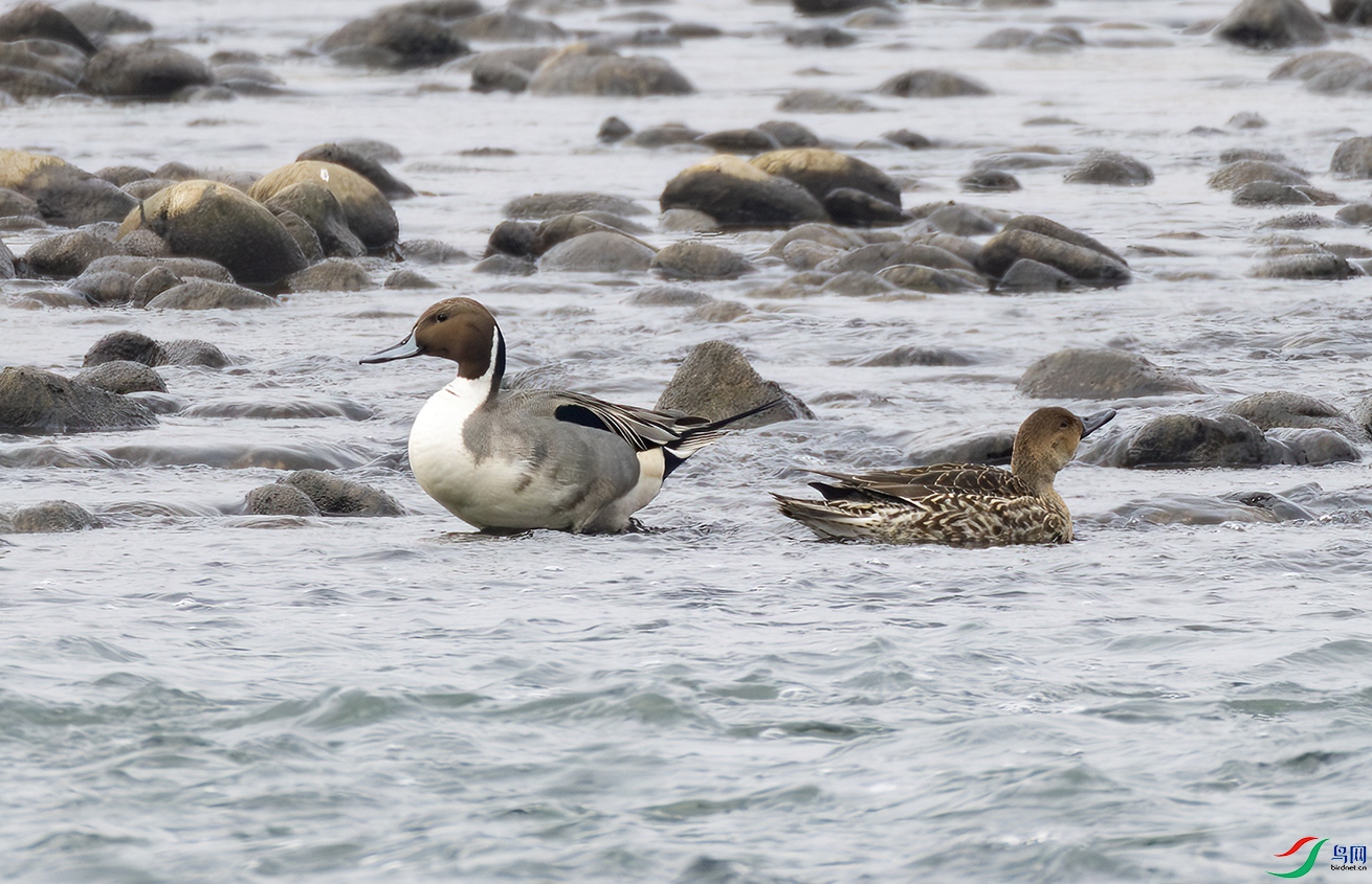 2I1A3153-����ǿ-NR ����.jpg