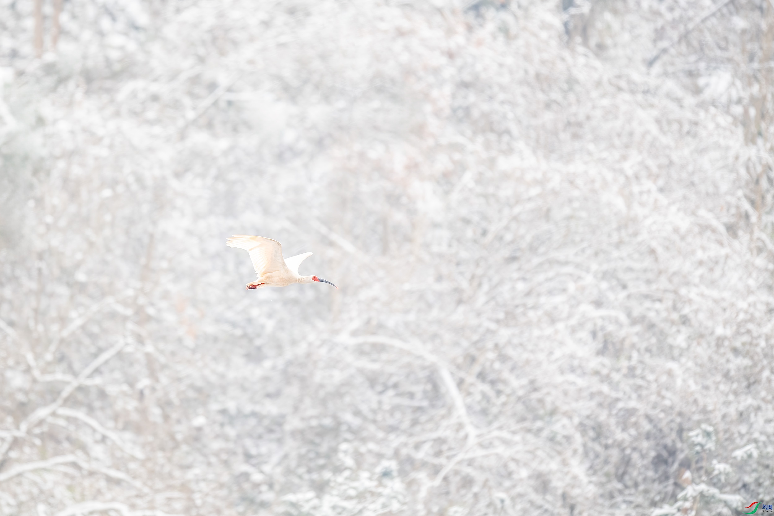 DSC_4651 �� 1��.jpg