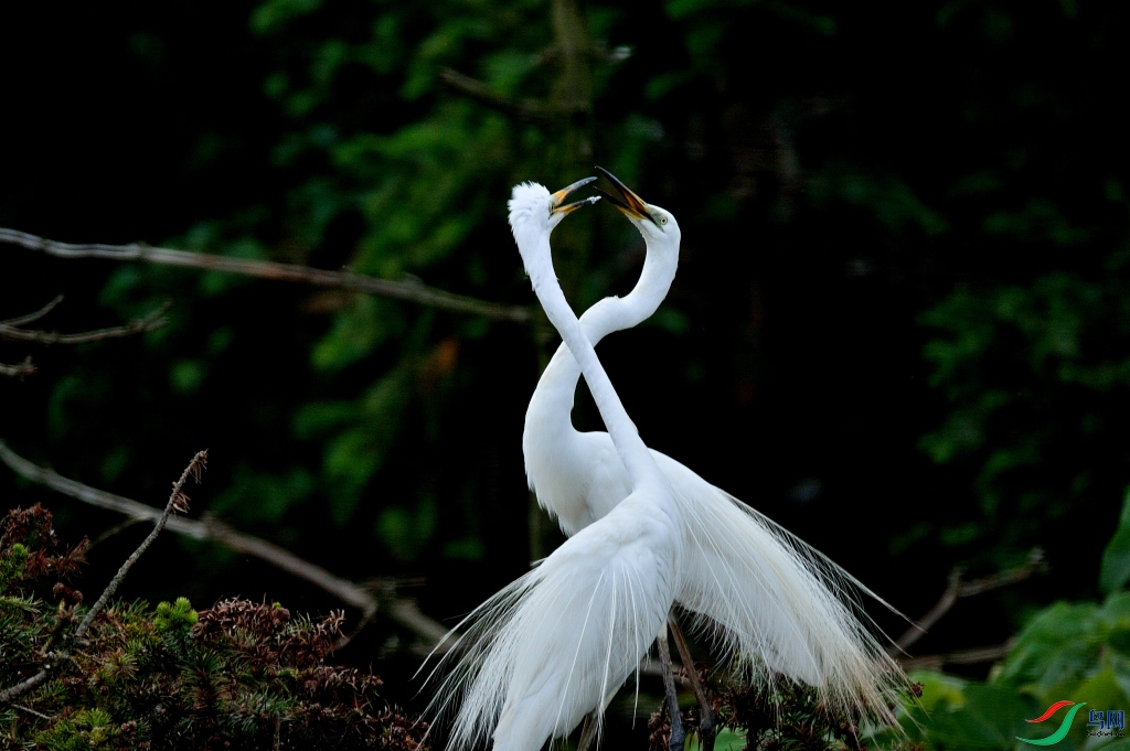 DSC_7128_00039.jpg