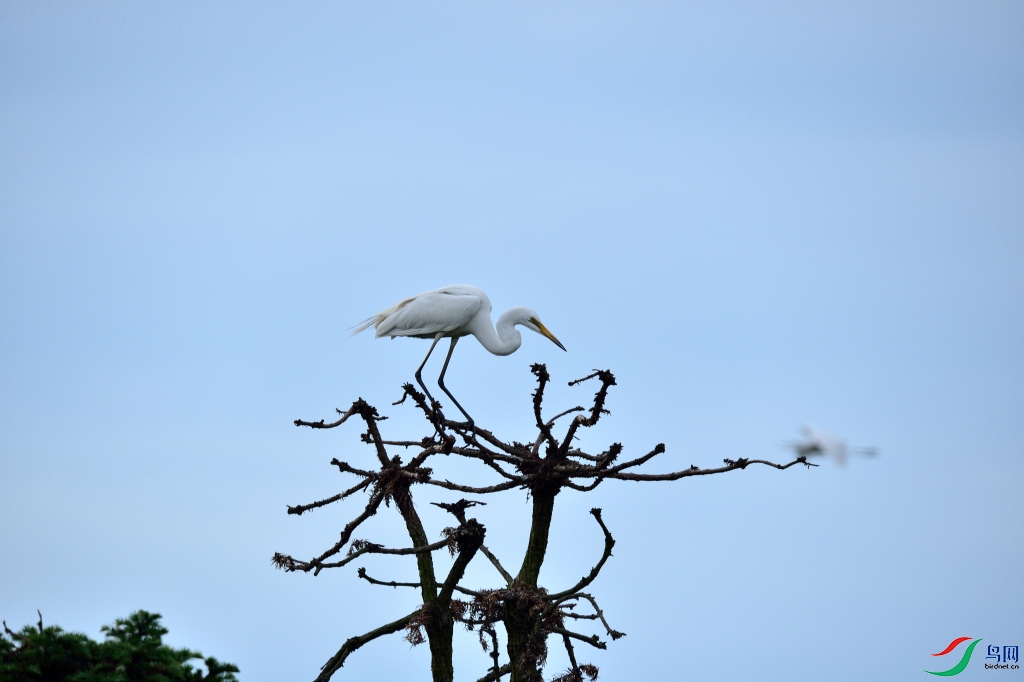 DSC_7324_00049.jpg