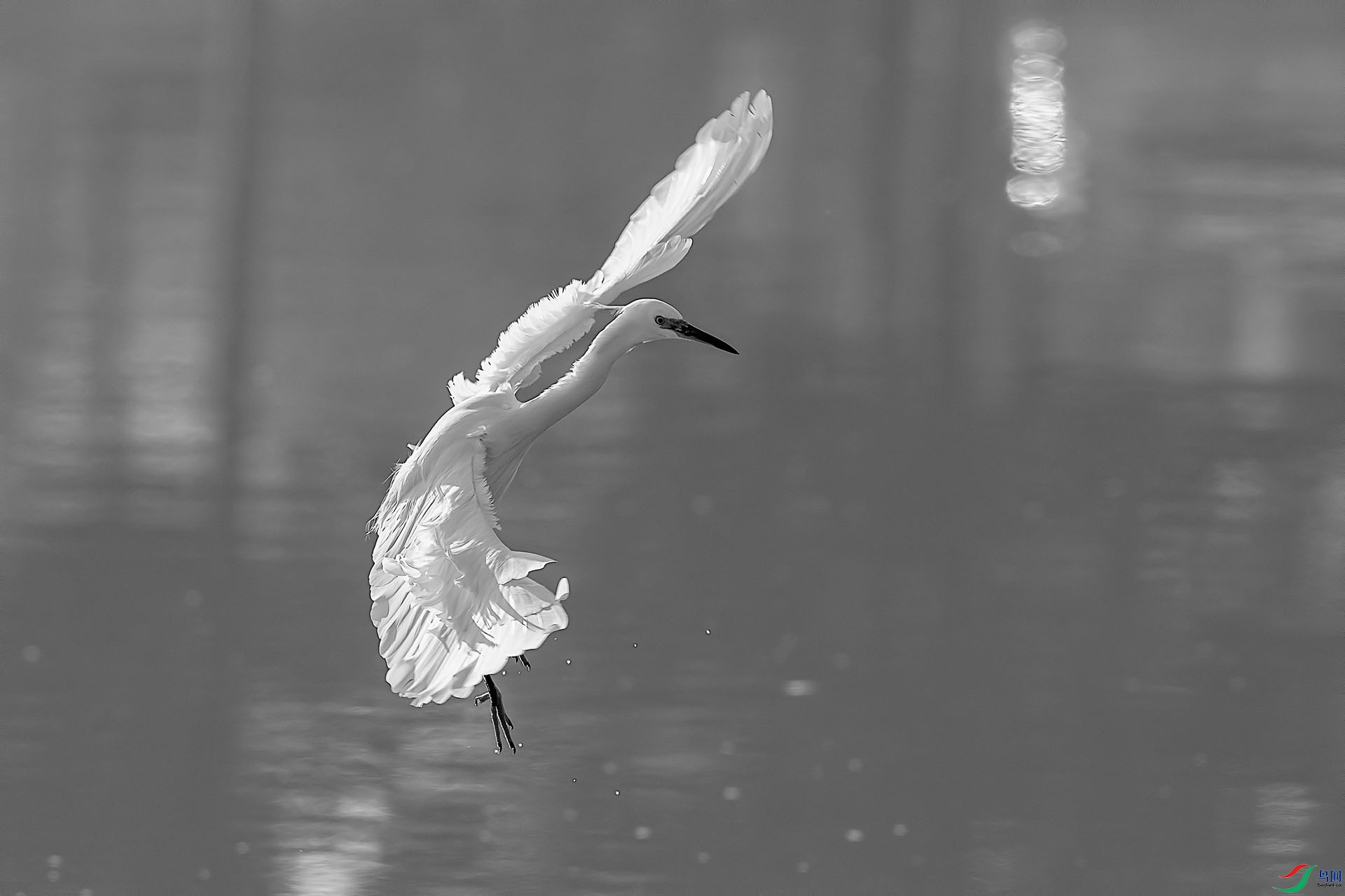 DSC01285aXH.jpg