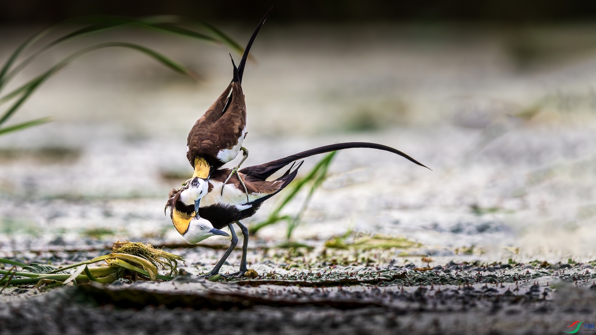 2_XXL5400-����ǿ-NR ����.jpeg