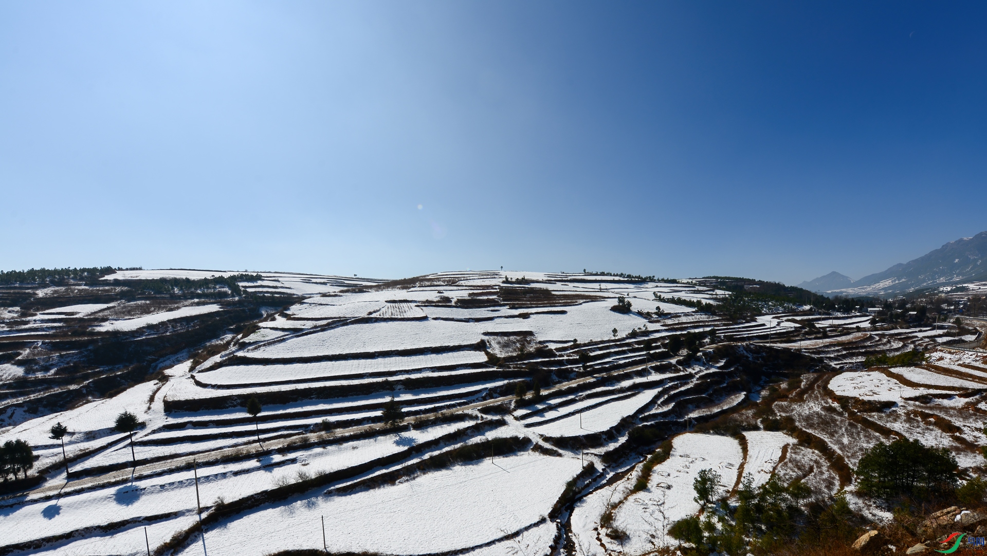 DSC_2416.jpg
