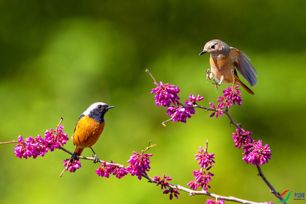 ����к� ����.jpeg