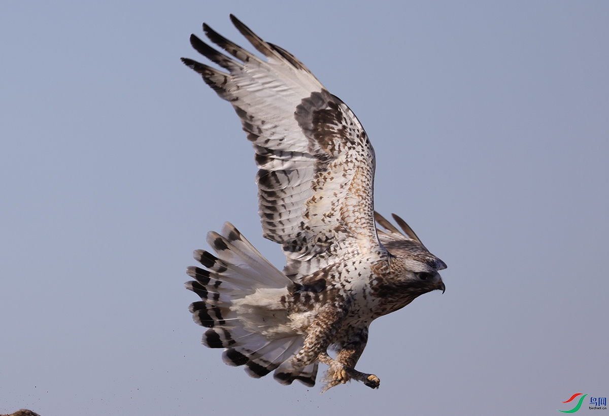 6X1A2436.jpgë��