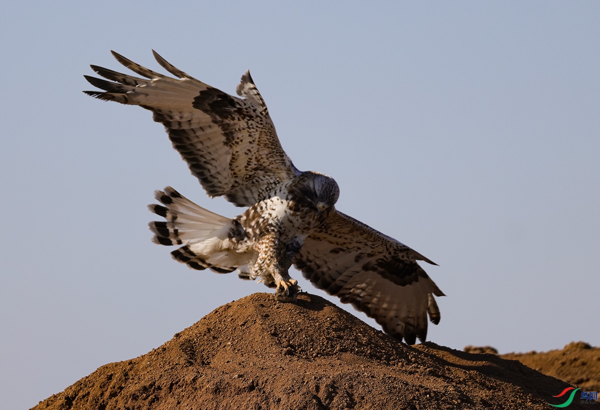 6X1A2486.jpgë��