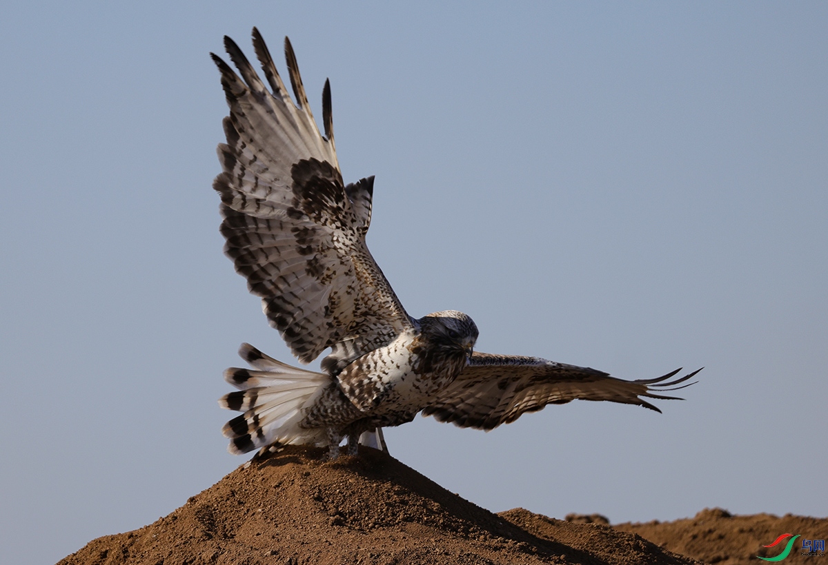 6X1A2487.jpgë��