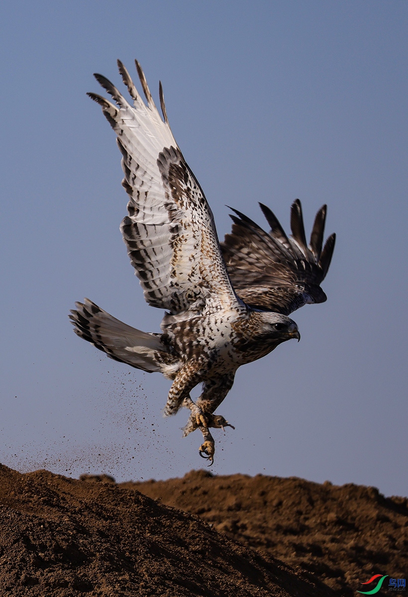 6X1A2491.jpgë��