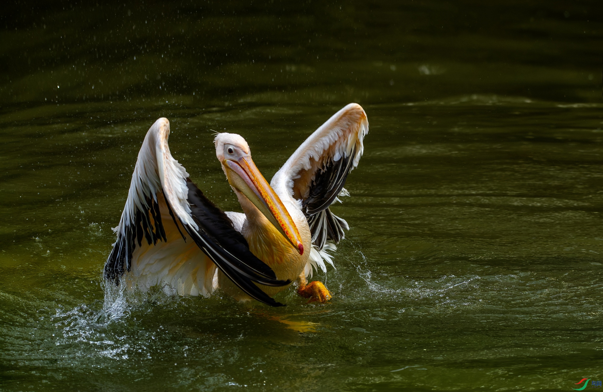 ������ (3)-1.jpg