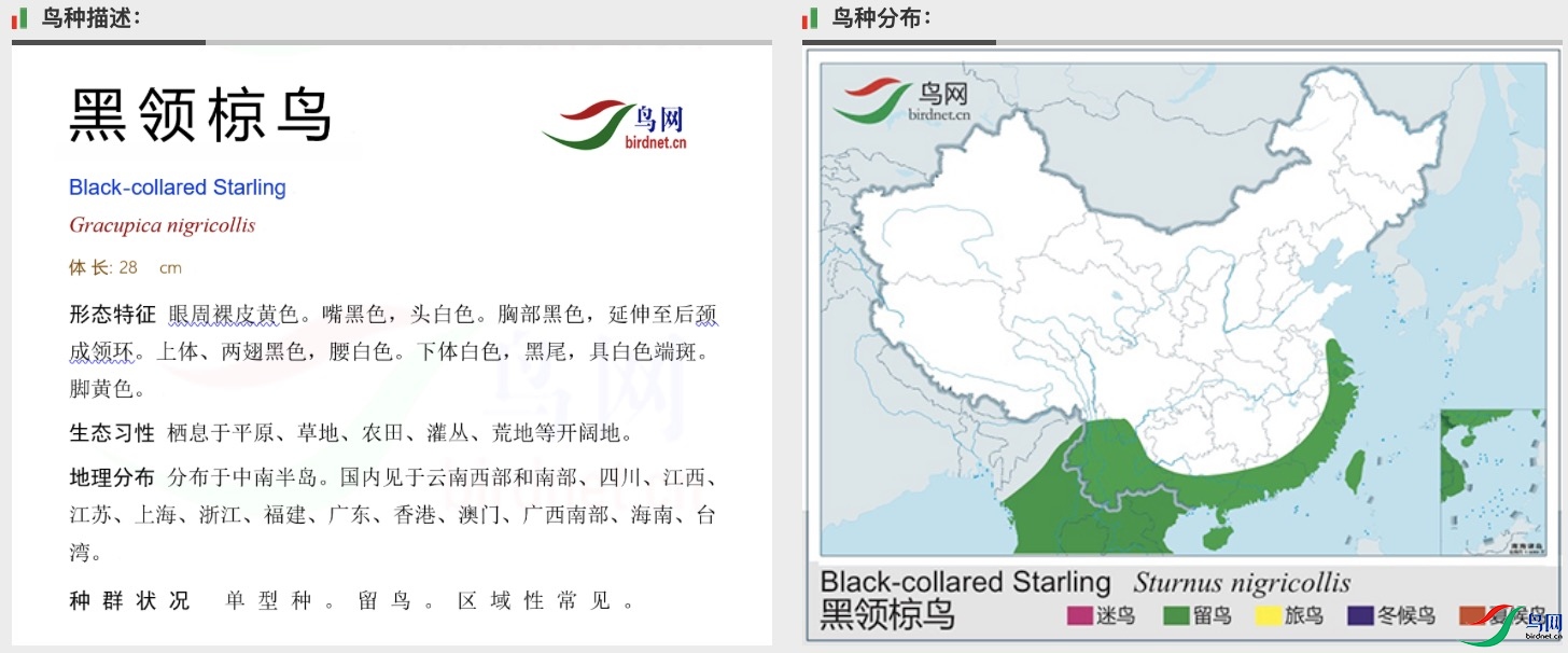 WechatIMG3.jpg