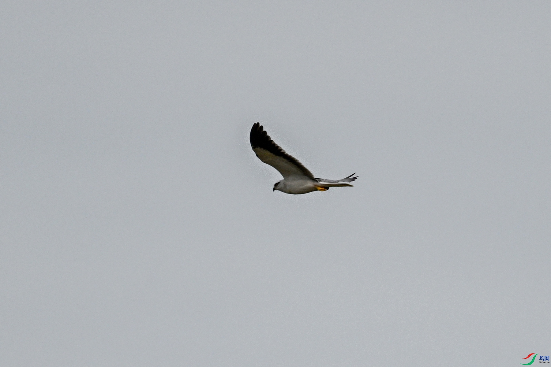 DSC_4927.JPG