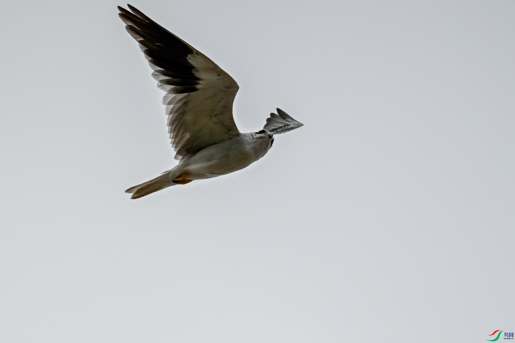DSC_4948.JPG