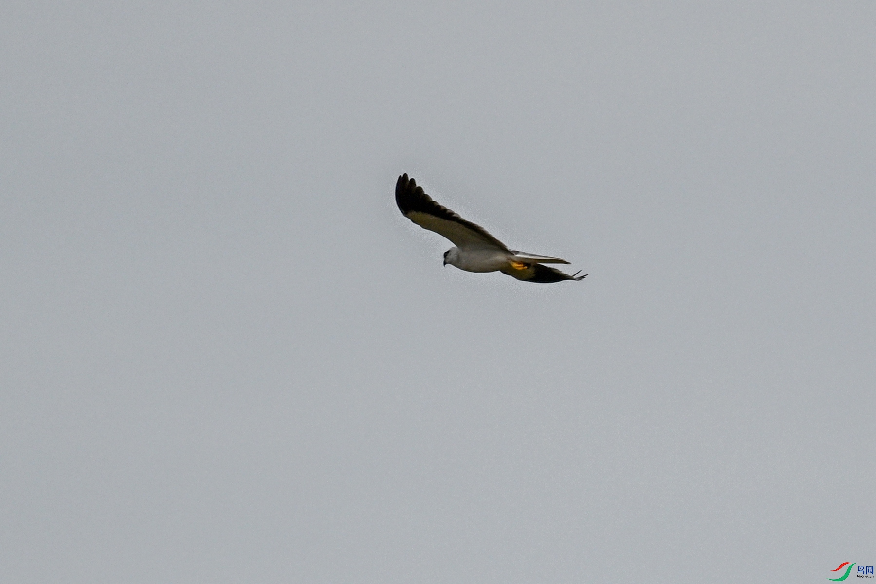 DSC_4928.JPG