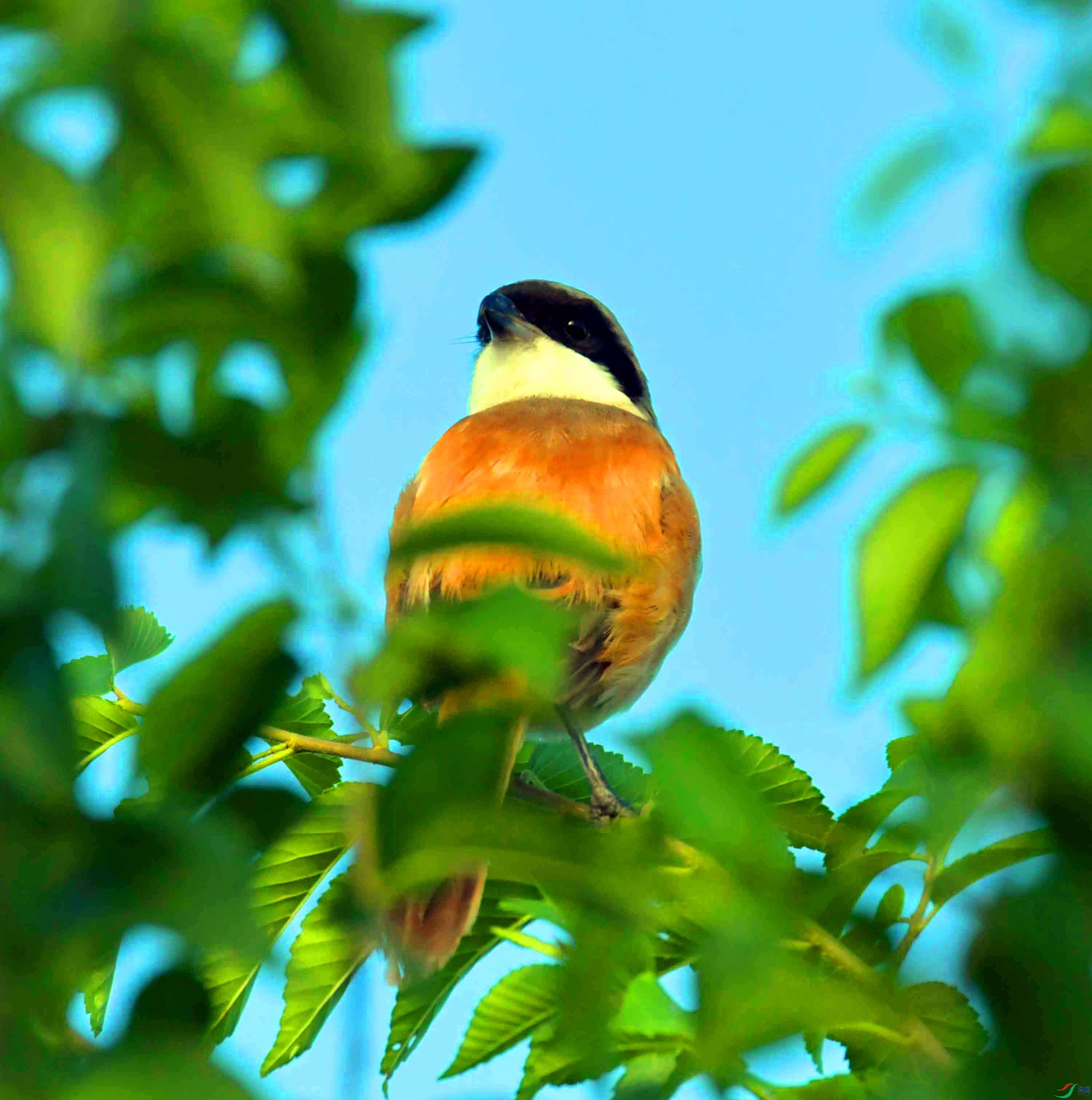 DSC_8352.JPG