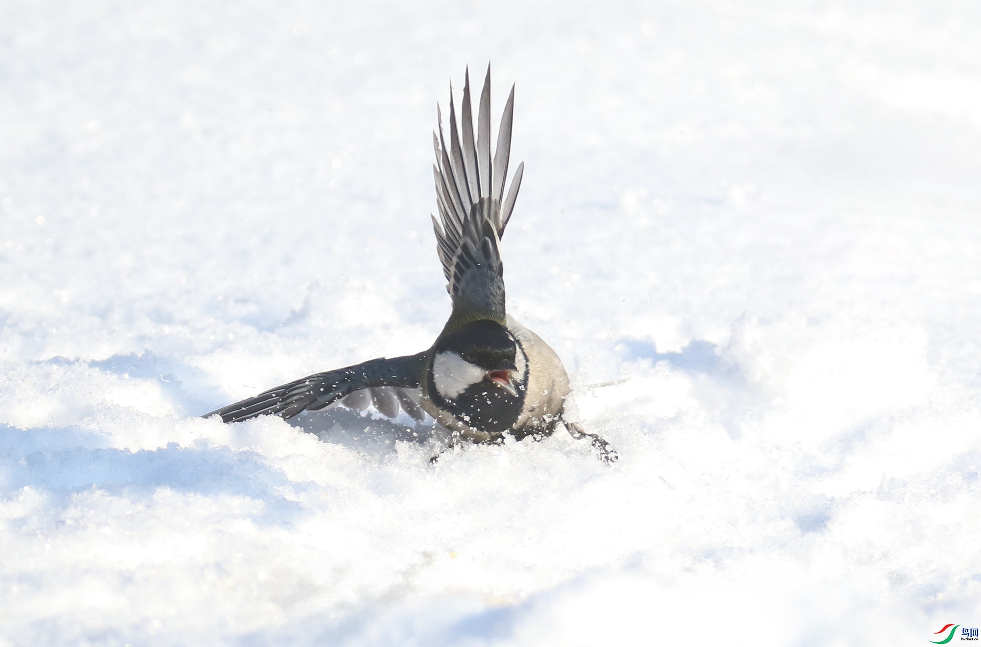 0G1A2393 ����.jpg