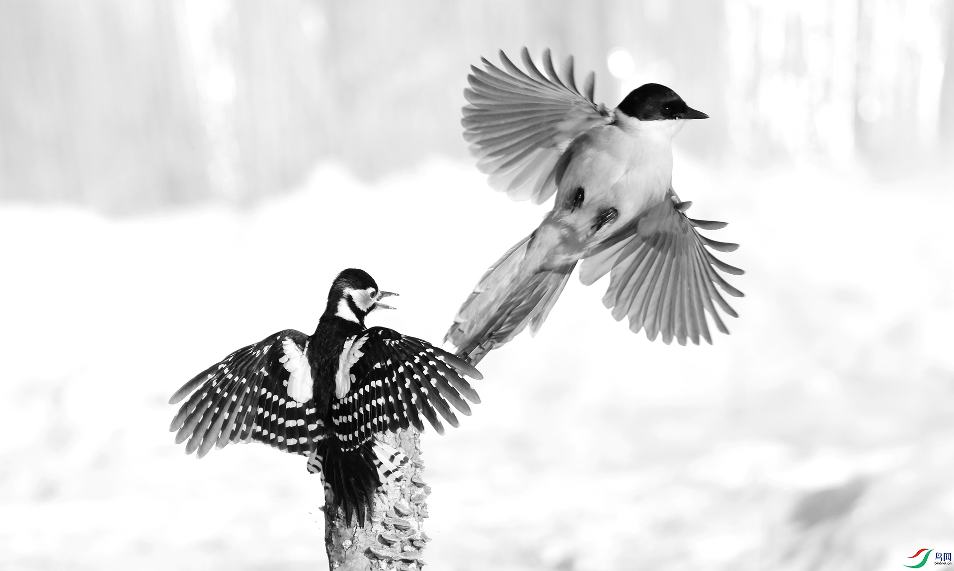 0G1A9166 ����.jpg