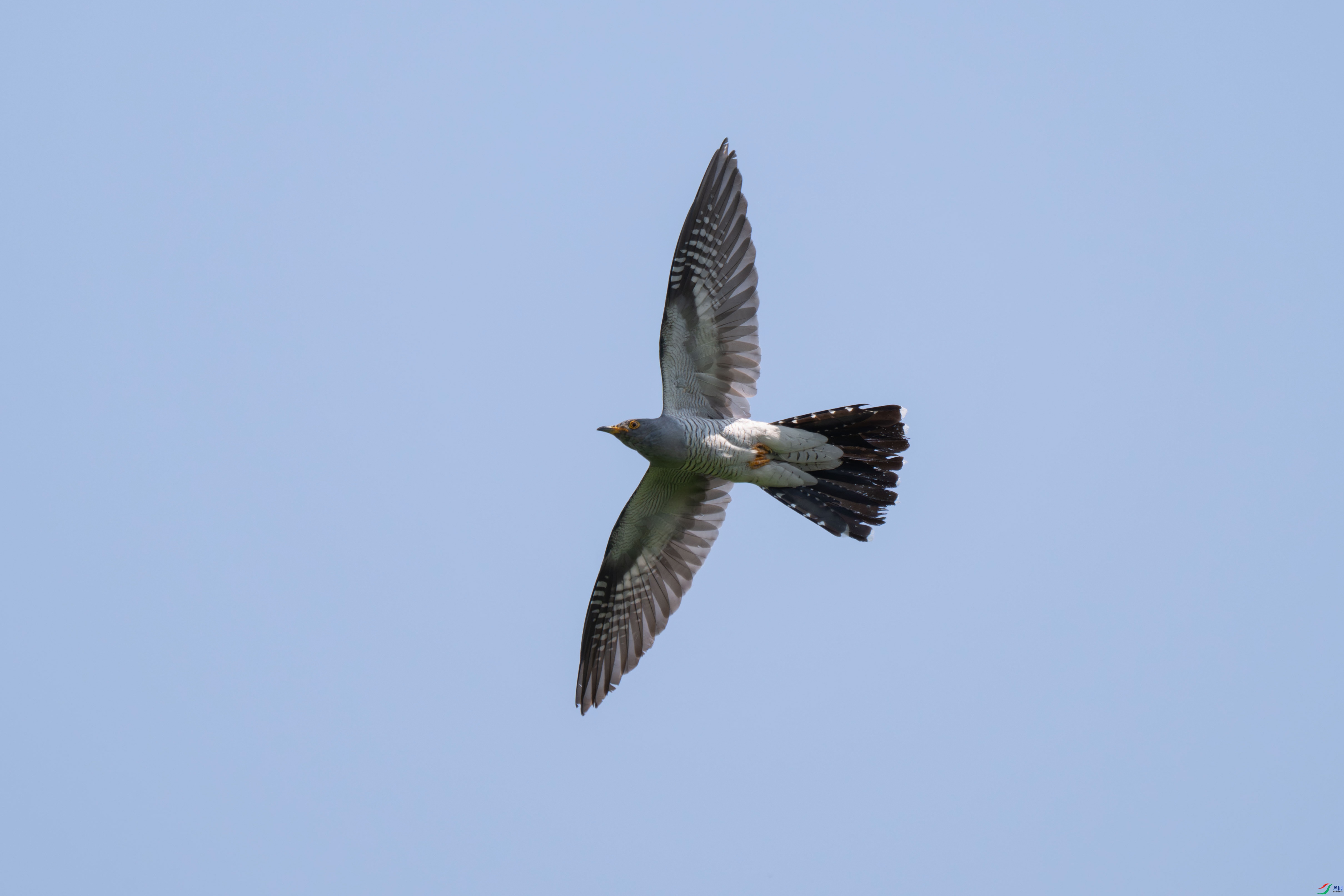 DSC_1892.jpg