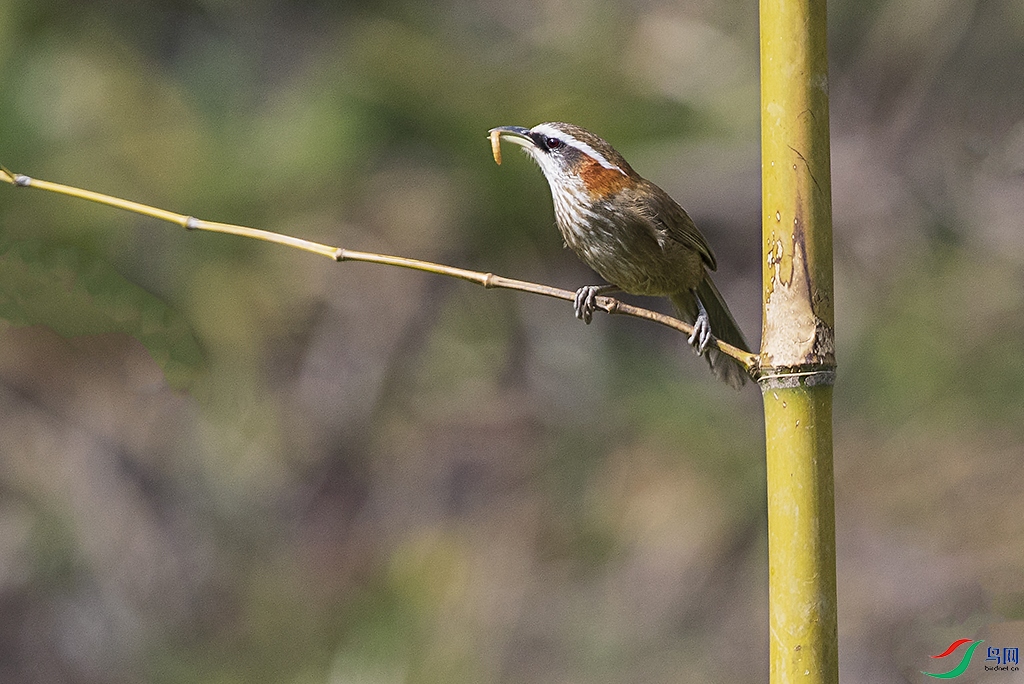 �ؾ������� (6) ����.jpg