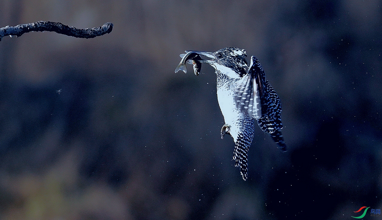 ���㹷  �ɲ�.jpg