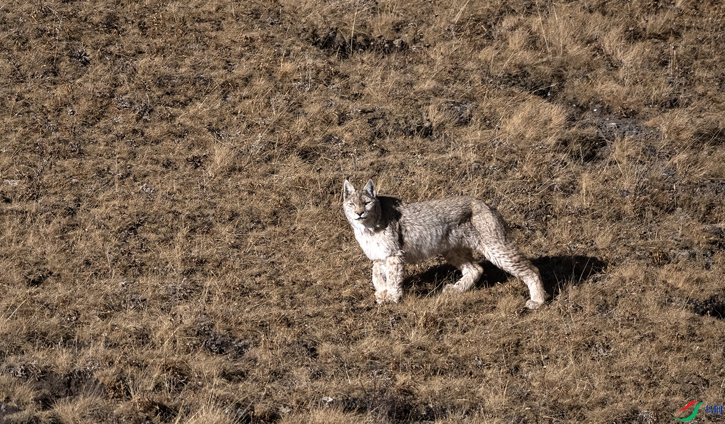 DSC_9927 ����.jpg