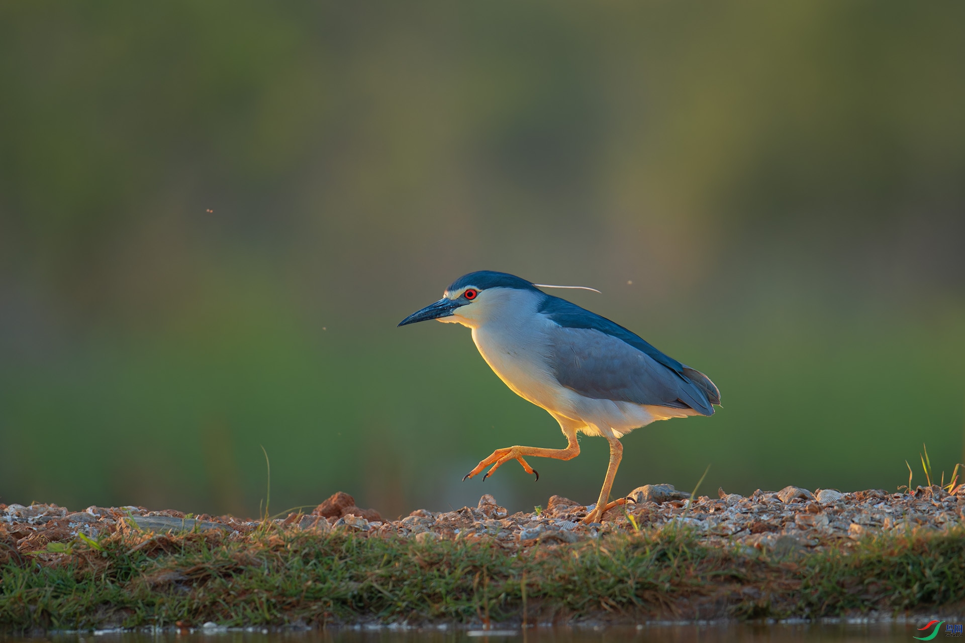 DSC_5763-1.jpg