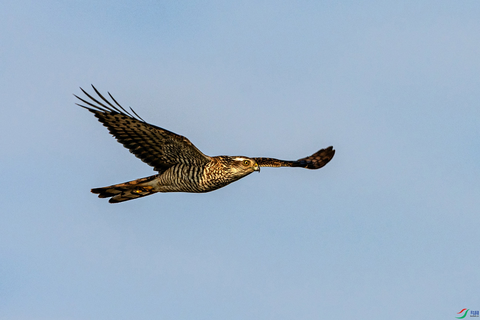 _AUU3304ȸӥ(24.12.26).jpg